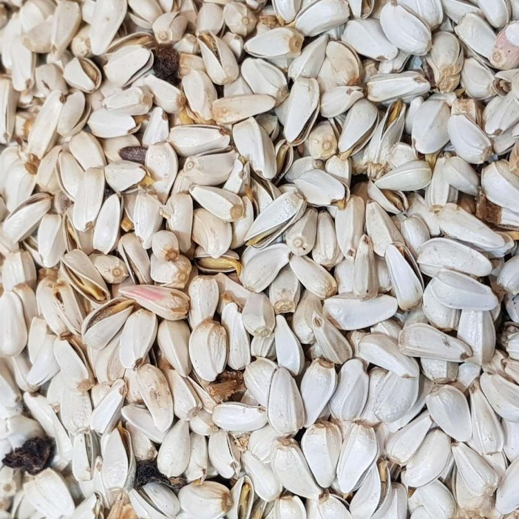 کافشه خندان درجه یک