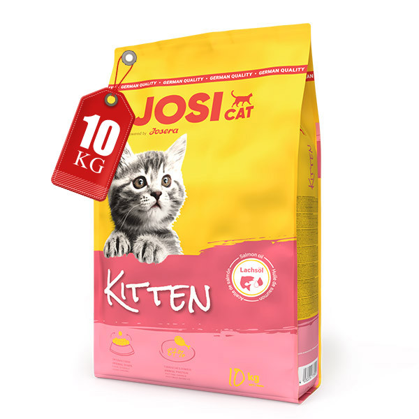 جوسی کیتن
