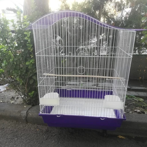 قفس کوچک رنگی