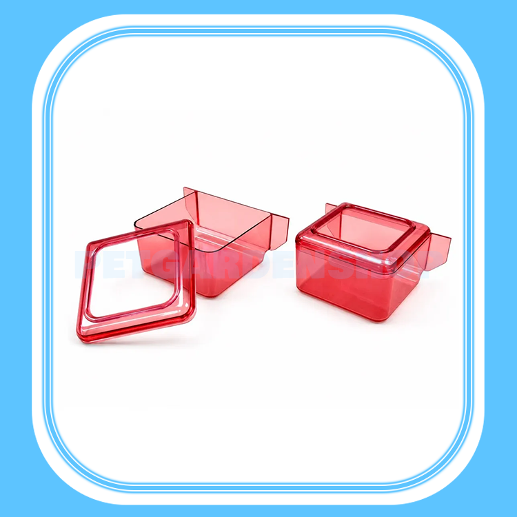 دانخوری کریستالی لبه دار آرش